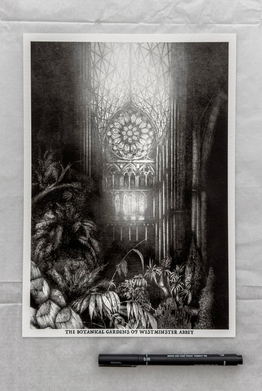The Botanical Gardens of Westminster Abbey (A4 print)