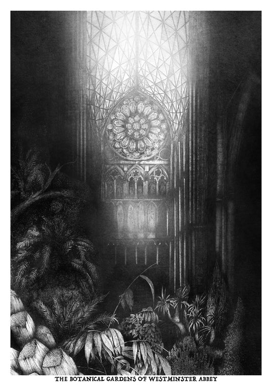 The Botanical Gardens of Westminster Abbey (print)